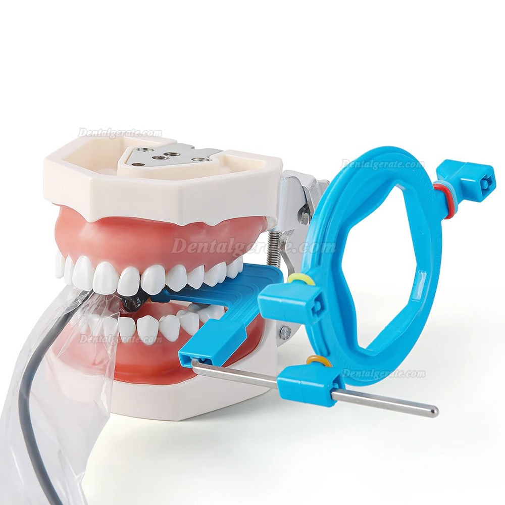 Dentaler RVG-sensorhalter intraorales r&ouml;ntgenfilmpositionierungssystem 2.0